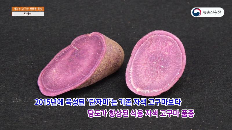 단자미