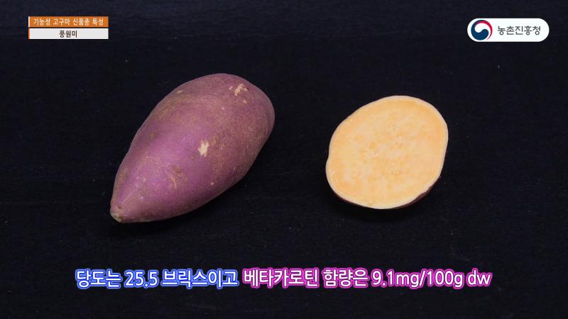 풍원미