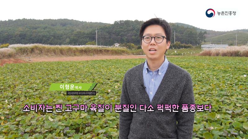 소비자 선호 고구마 품종 특성