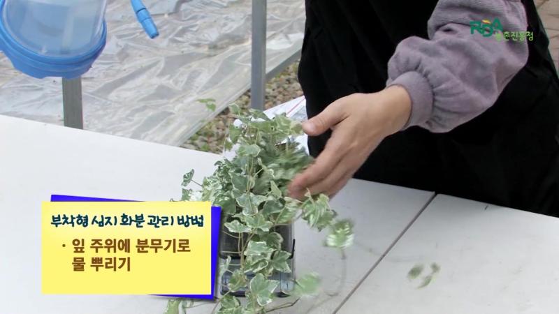 부착형 심지 화분의 관리 방법_부착형 심지 화분의 적용_부착형 심지 화분 효과