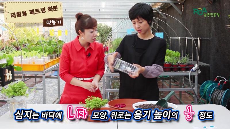 페트병을 활용한 심지 화분 제작 방법-나