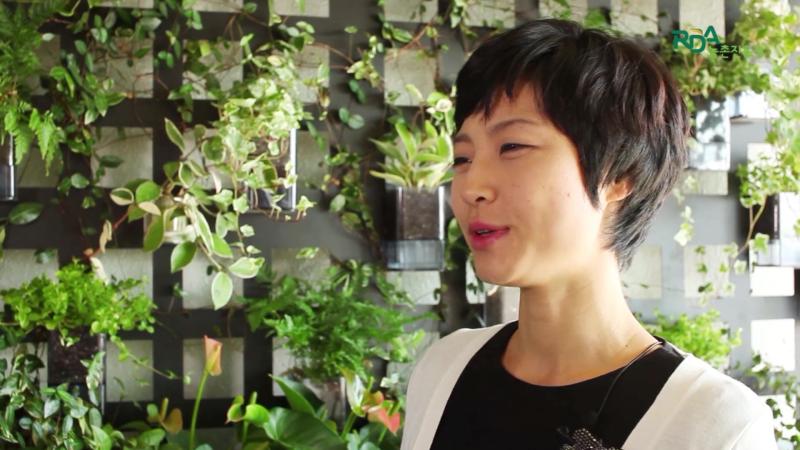 부착형 심지 화분에 이용 가능한 식물의 종류