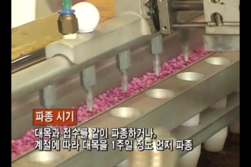 파종시기