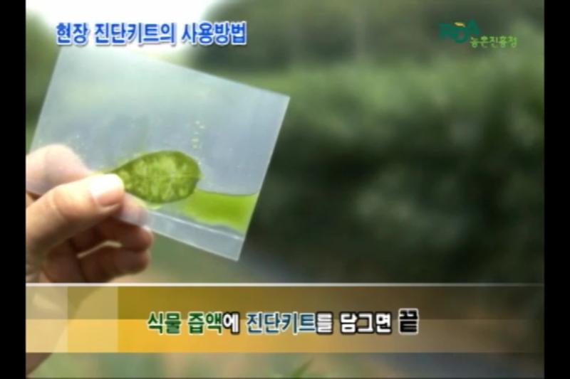 현장 진단키트의 사용방법 썸네일 이미지