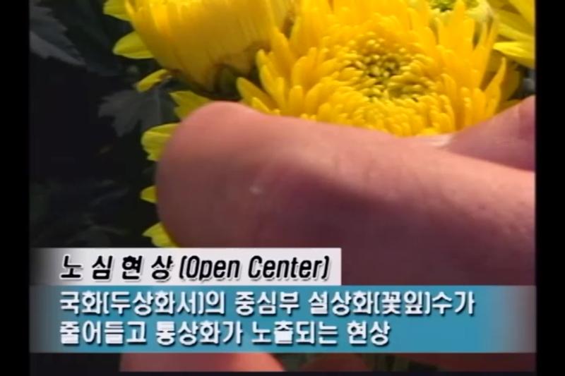 노심현상_인터뷰_버들눈