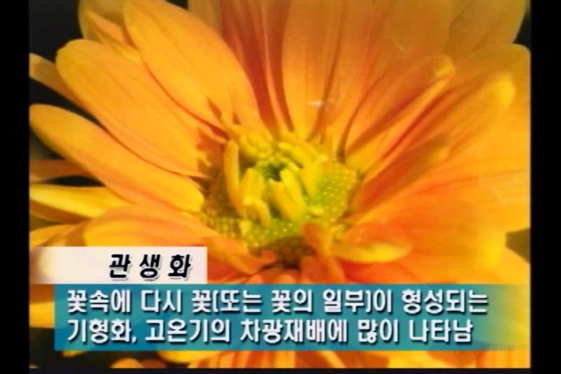 관생화_인터뷰
