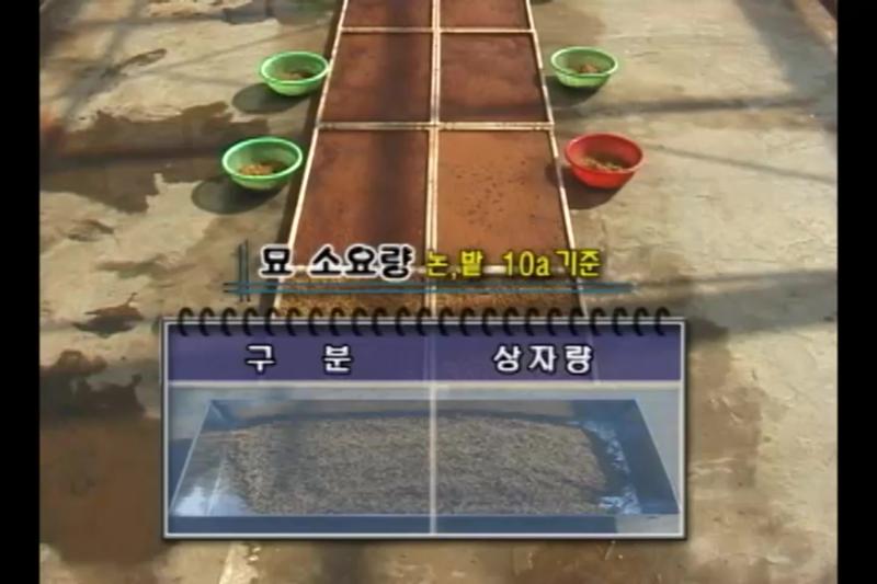 상자 및 종자 소요량