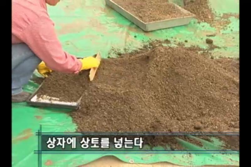 상토넣기
