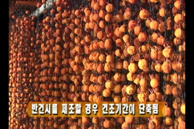 반건시제조_백분 발생