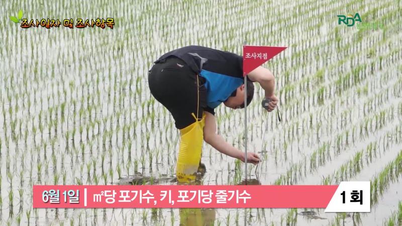조사일자 및 조사항목