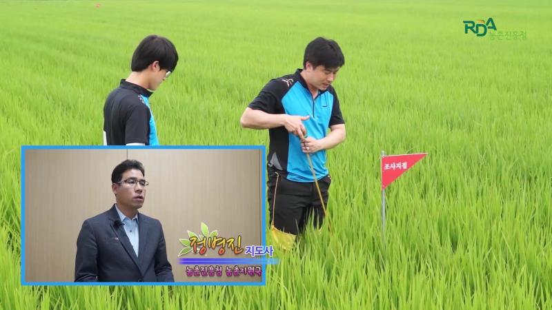 인터뷰_벼 생육조사 실시요령