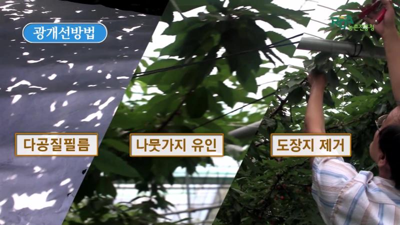 인터뷰_유인기구 이용 광 개선 작업