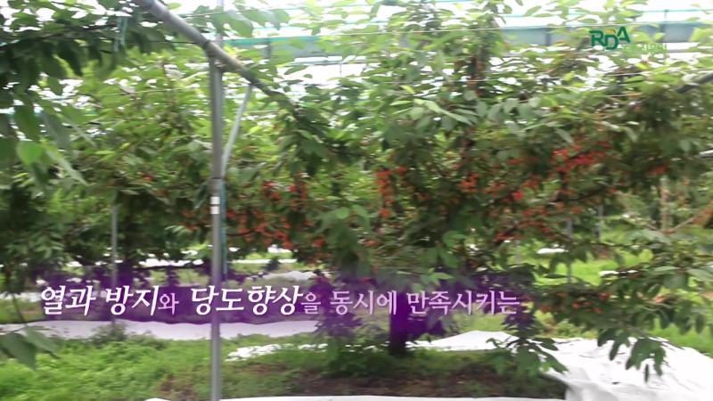 설치시기_설치형태