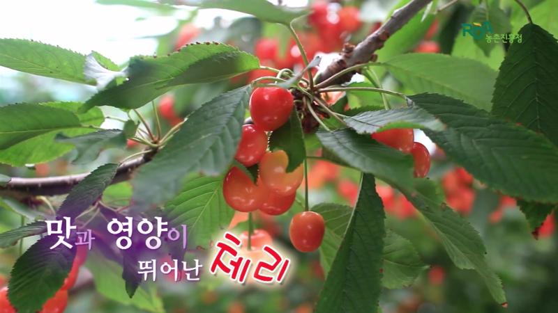 개요_인터뷰_비가림 시설의 장점