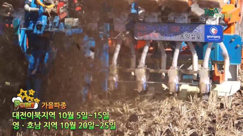 우리밀 파종 시기 및 파종