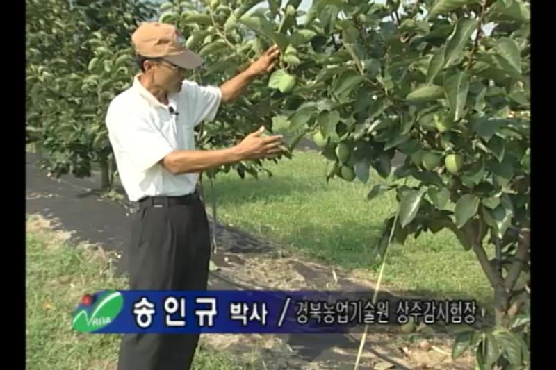 번칙 주간형 썸네일 이미지