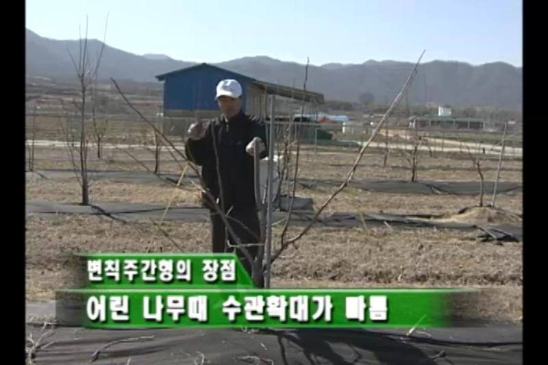 정지, 정전법 썸네일 이미지