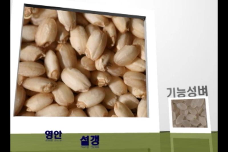 기능성벼