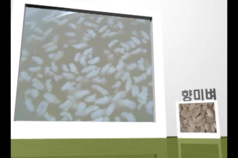 향미 및 가공용벼