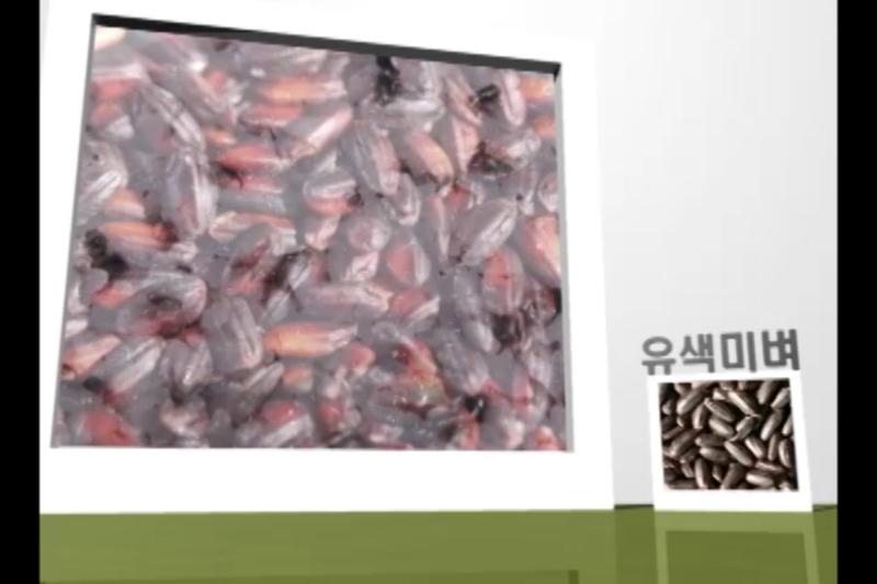 유색미