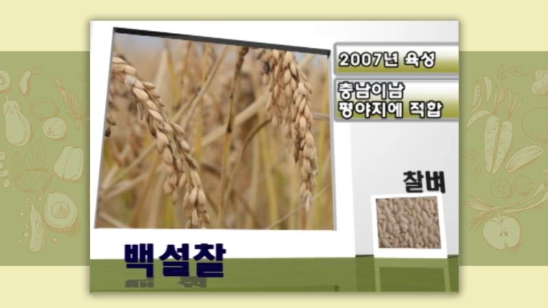 찰벼