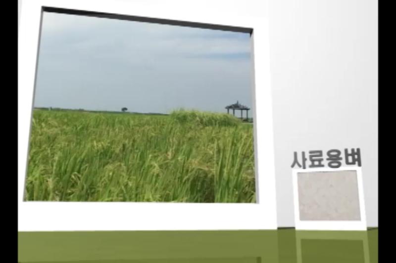 사료용벼
