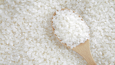 가루쌀 바로미2 재배기술 재배력 제작  이미지