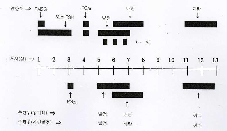 제 4 장 수정란의 이식