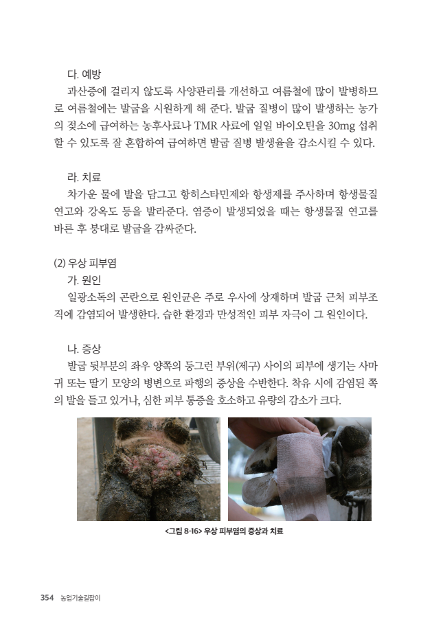 문서뷰어