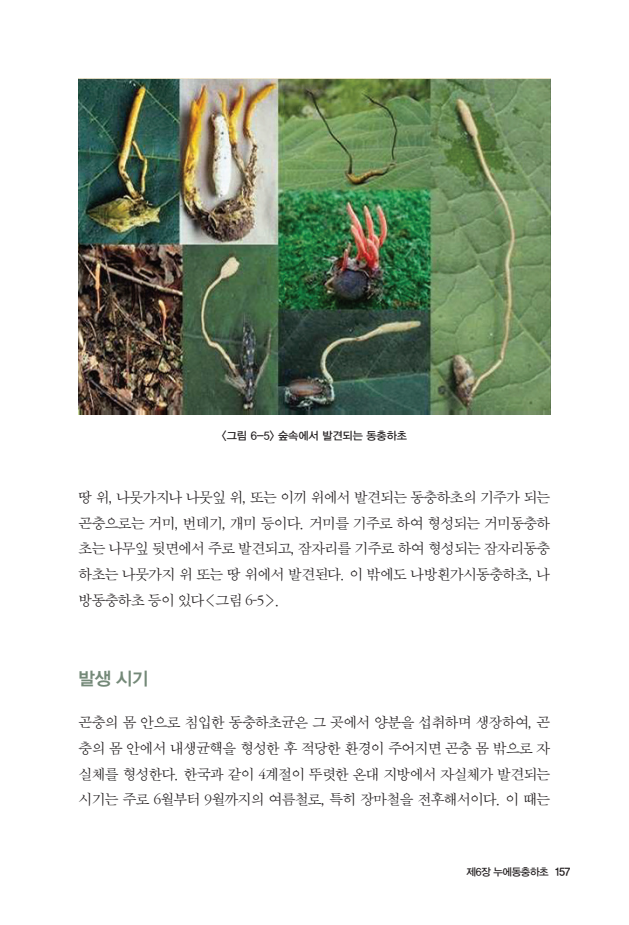 문서뷰어