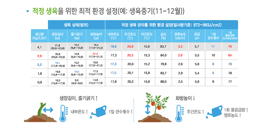 미리 보는 꿈의 스마트팜 - 시설하우스 | 농사로 미리 보는 꿈의 스마트팜 - 시설하우스