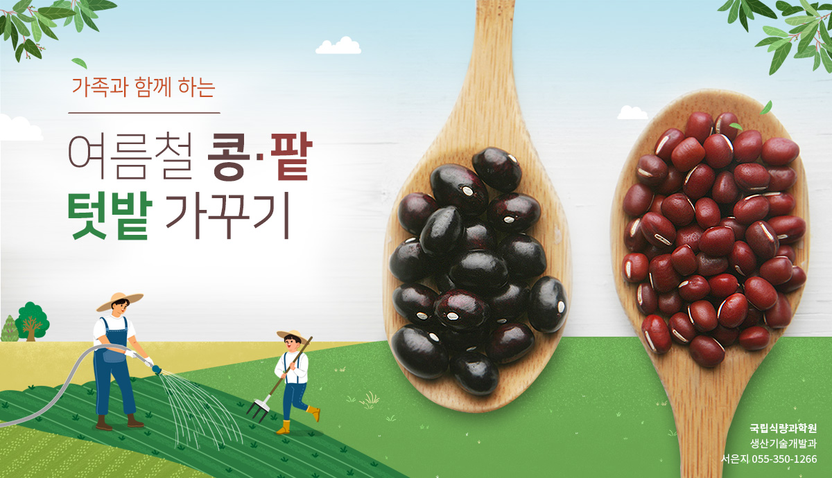 가족과 함께 하는 여름철 콩·팥 텃밭 가꾸기 : 네이버 블로그