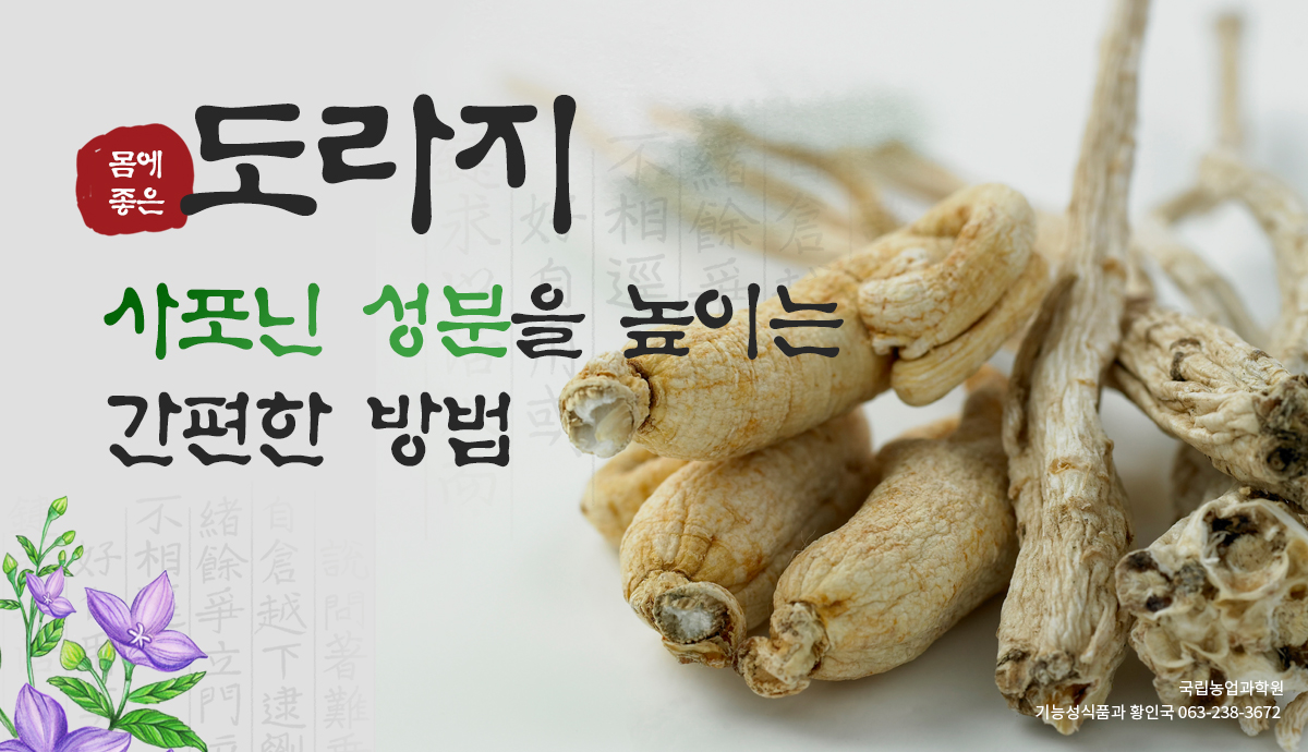 도라지의 효능과 제품 고르기 요령!