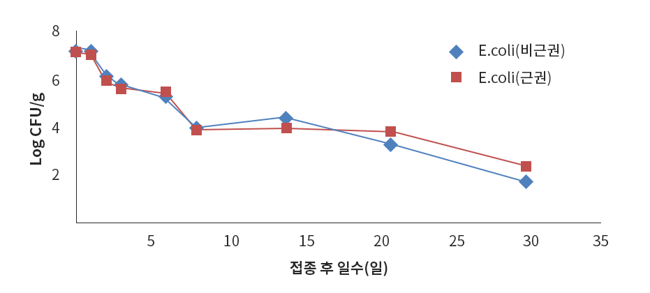 배추 재배 토양에서 대장균의 생존 변화 그래프