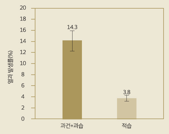 배*열 이미지