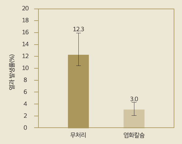 배*열 이미지