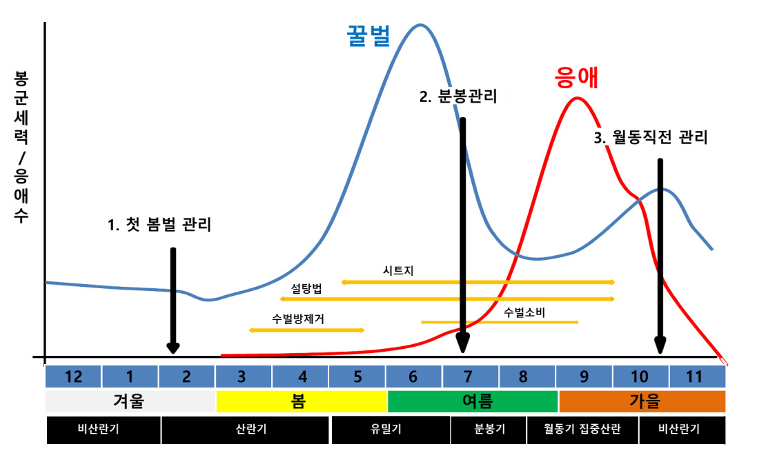 봉군세력/응애수를 사계절로 구분지어 나타낸 라인 그래프