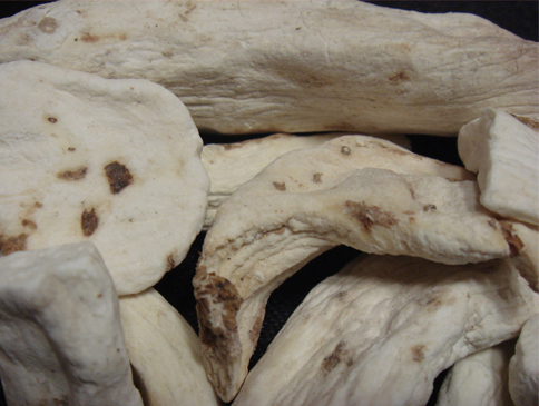 마(산약:한국산)