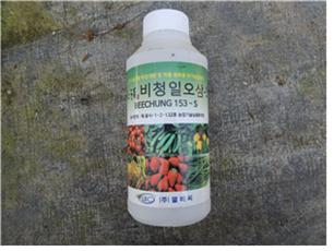 딸기에 관주 및 엽면살포 한 “비청153-S”