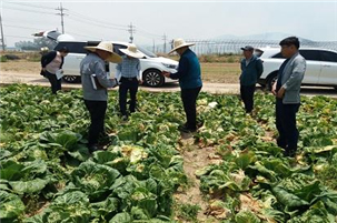 조사 및 기술지원 전경