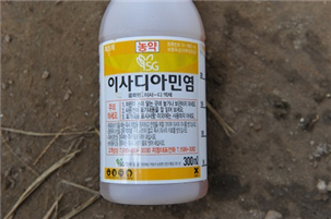 사용한 착과비대제