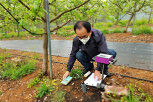 5. 사과원의 토양 간이검정 사진