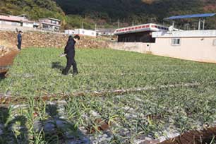 이상 증상1 사진