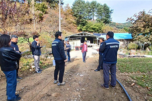 쪽파 이상증상 발생 현황 청취 사진