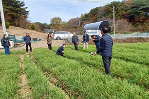 생육관찰 및 조사 사진