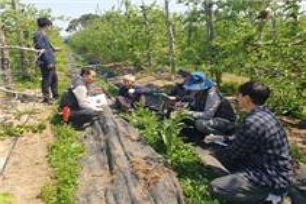 의견 청취 및 토의