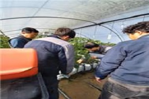 뿌리생육 상황점검
