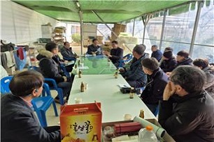 애플망고 생육현황 설명
