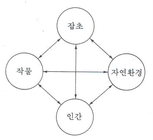 그림 1. 잡초의 생태적 요소 관련체계