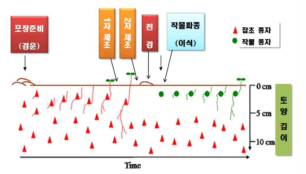 그림 3 가묘상을 이용한 잡초방제 그림
